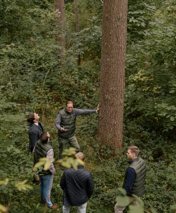 Salm Global Land Karriere